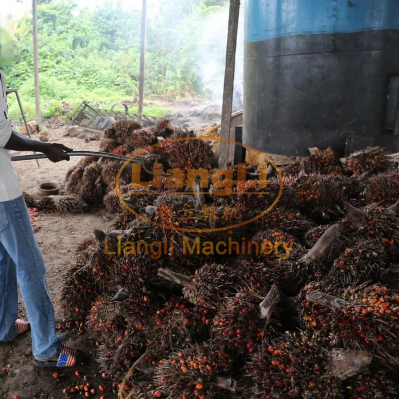 Palm Oil Press Machine
